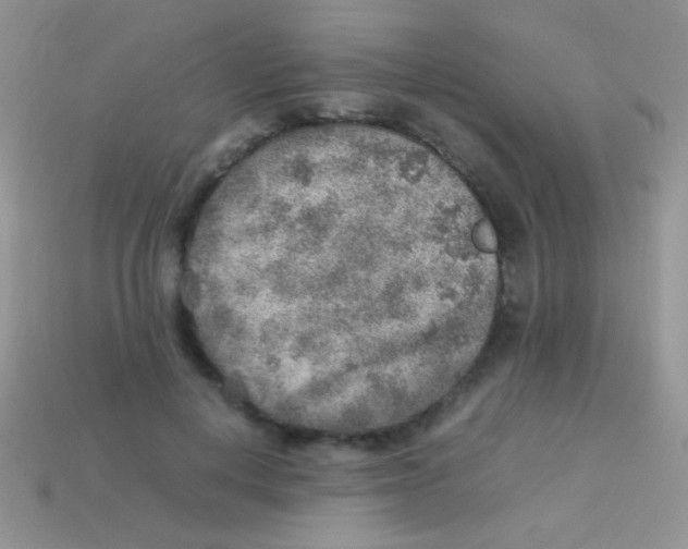 X0000113640648200910162038