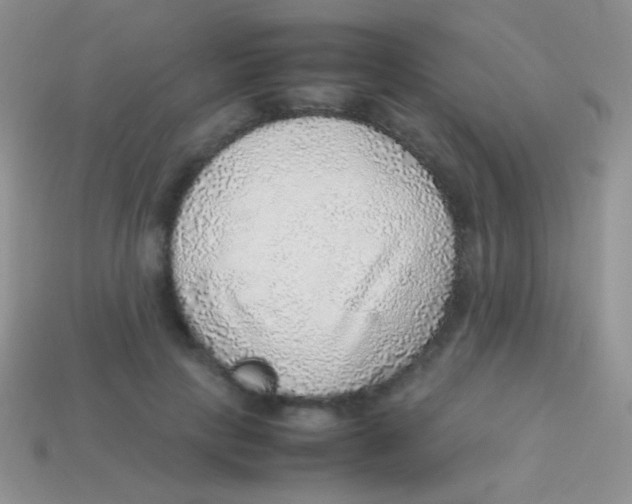 X0000113640649200910162038