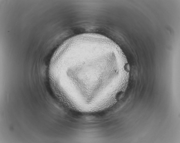 X0000113640650200910162038