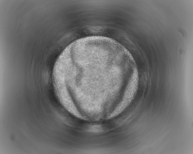 X0000113640651200910162038