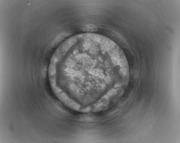 X0000113640652200910162038