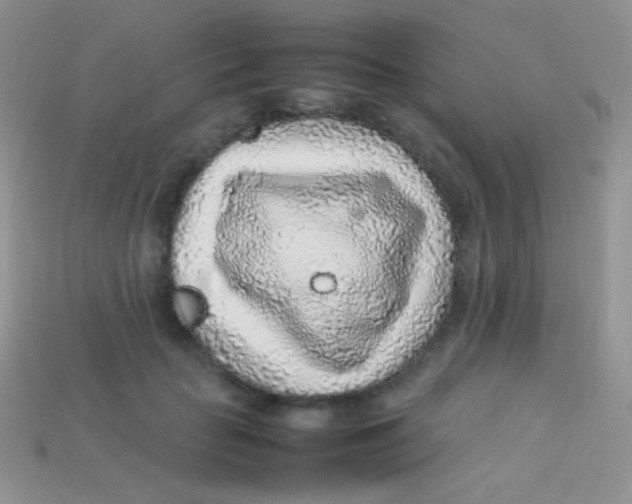 X0000113640653200910162038