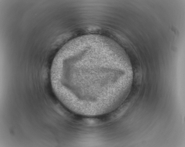 X0000113640654200910162038