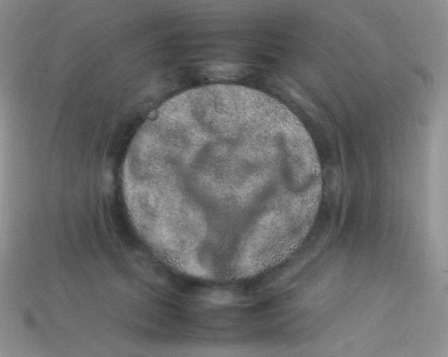 X0000113640655200910162038