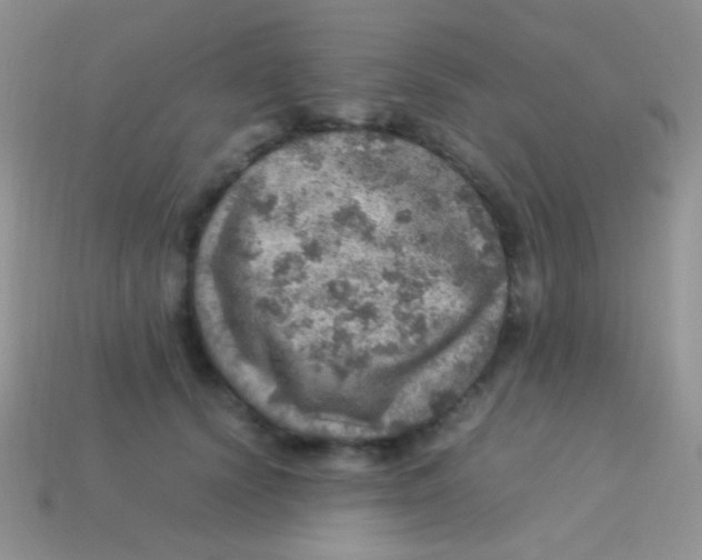 X0000113640656200910162038