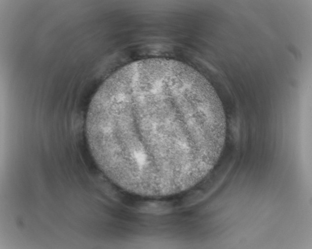 X0000113640657200910162038