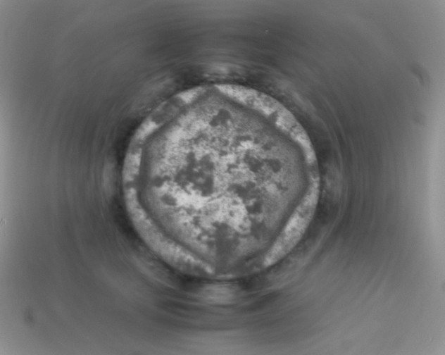 X0000113640659200910162038