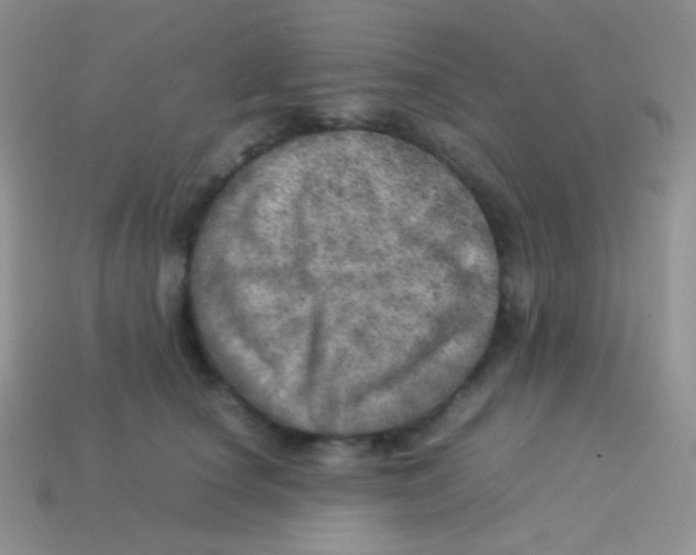 X0000113640660200910162038