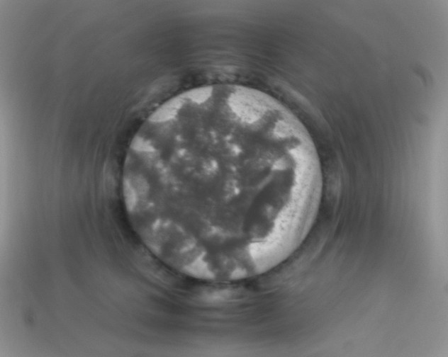 X0000113640661200910162038