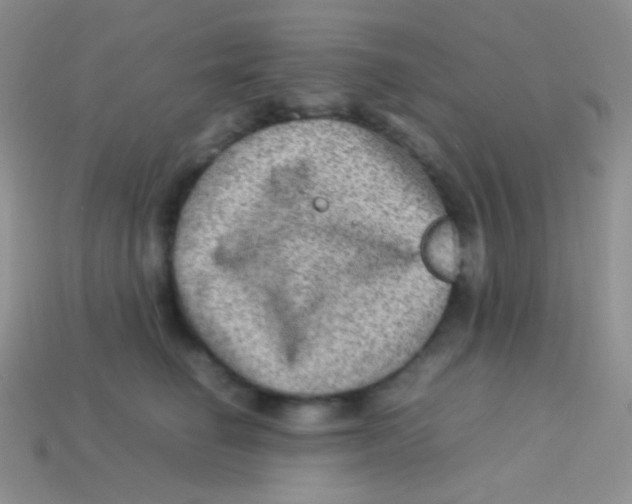 X0000113640662200910162038