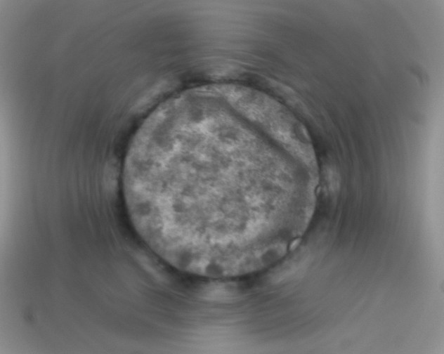 X0000113640664200910162038