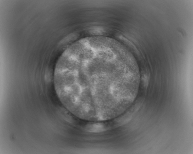 X0000113640665200910162038