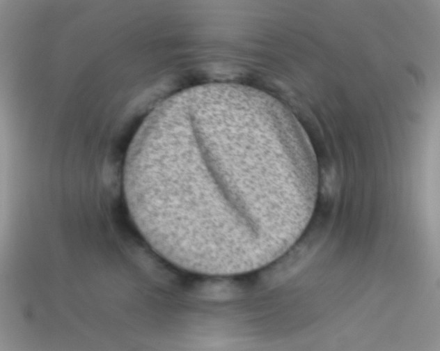 X0000113640666200910162038