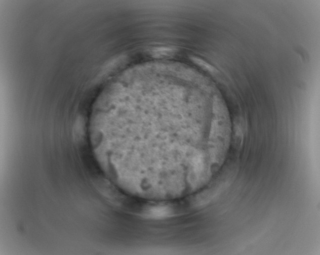 X0000113640667200910162038