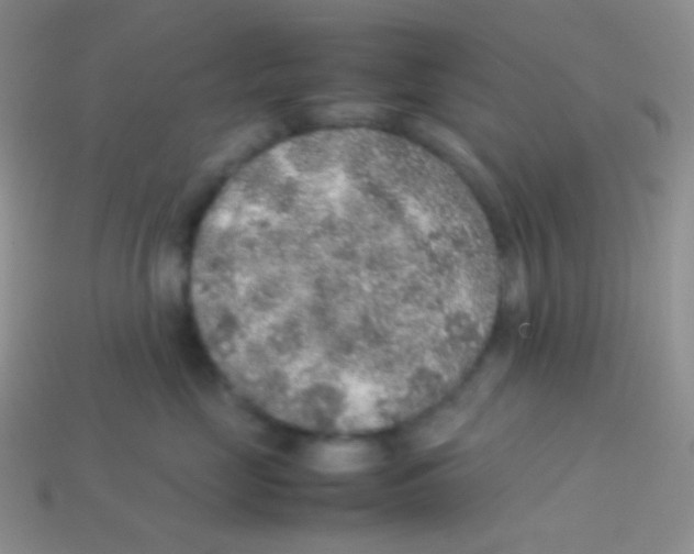 X0000113640669200910162038