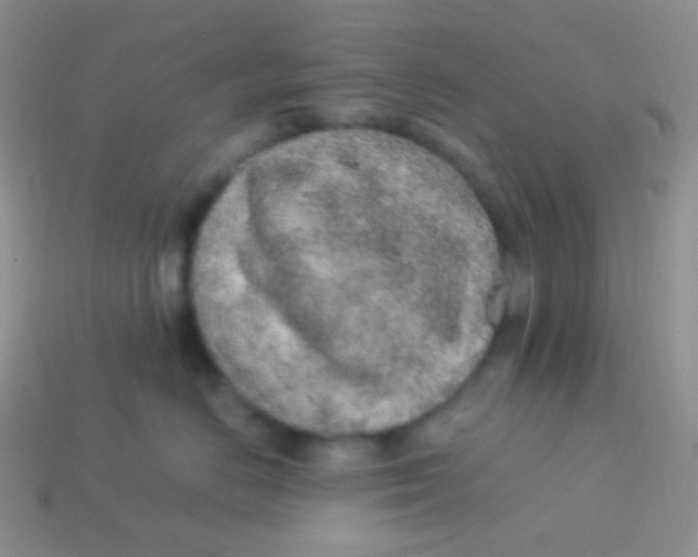 X0000113640670200910162038