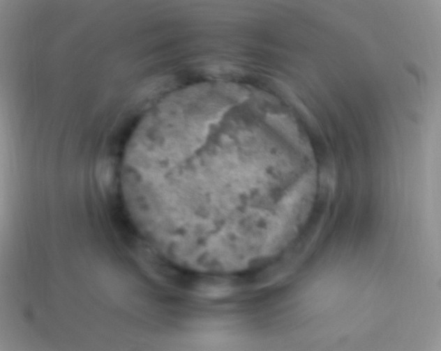 X0000113640671200910162038