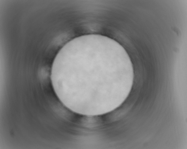 X0000113640672200910162038