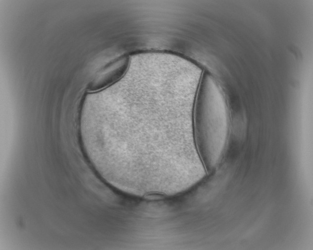 X0000113640673200910162038