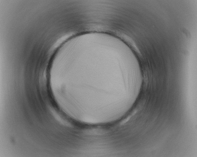 X0000113640674200910162038