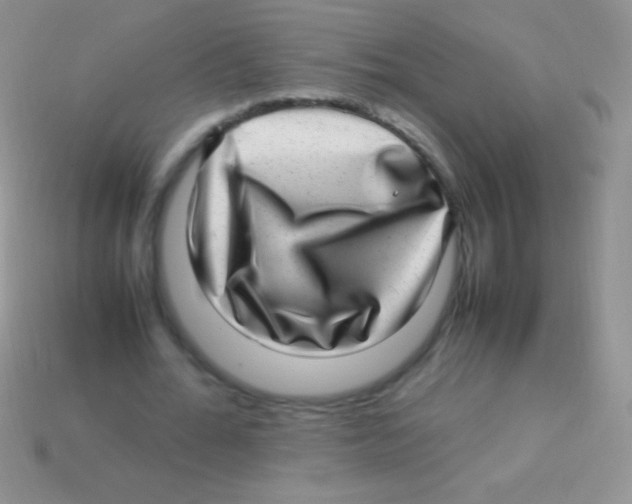 X0000113640676200910162038