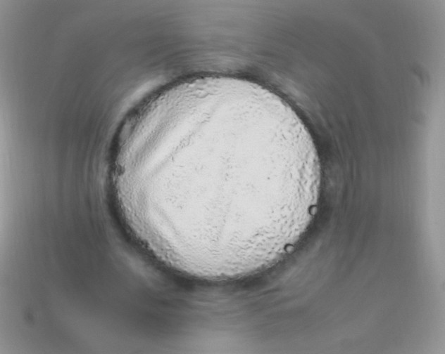 X0000113640679200910162038