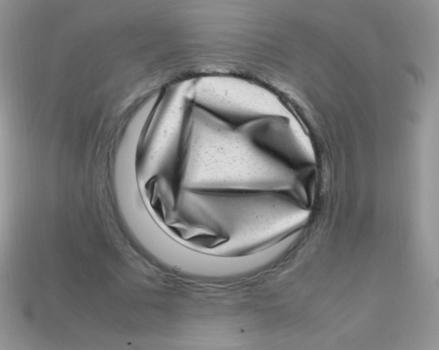 X0000113640681200910162038