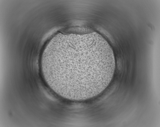 X0000113640682200910162038