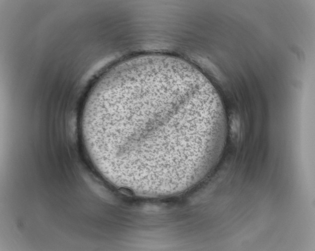 X0000113640684200910162038