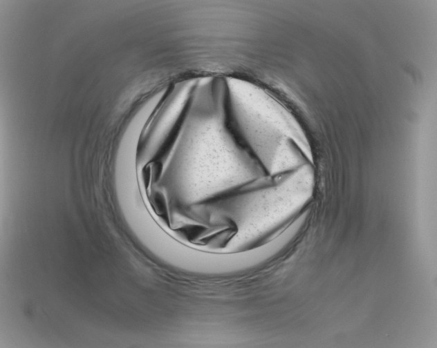 X0000113640685200910162038