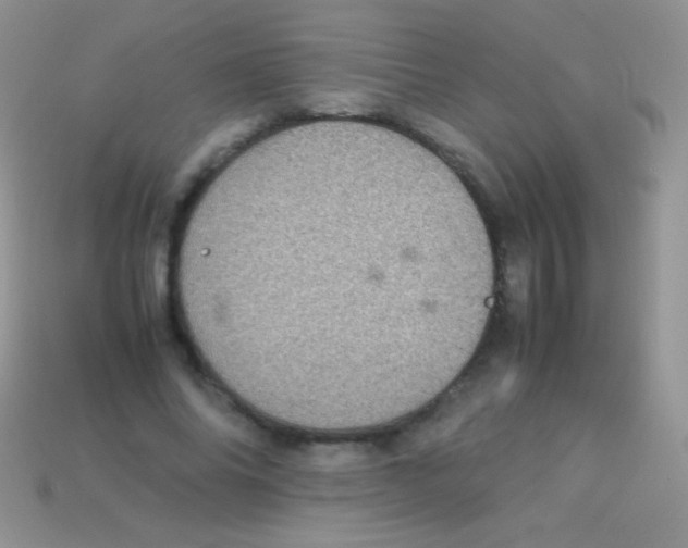 X0000113640686200910162038