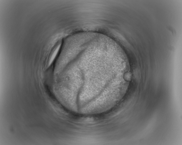 X0000113640687200910162037