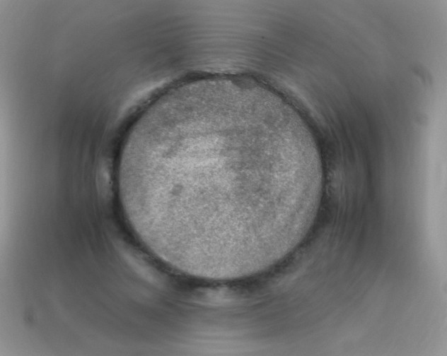 X0000113640688200910162037