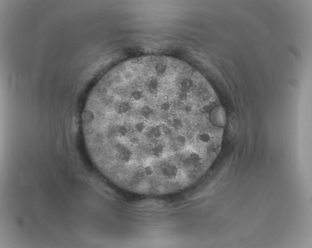 X0000113640691200910162037