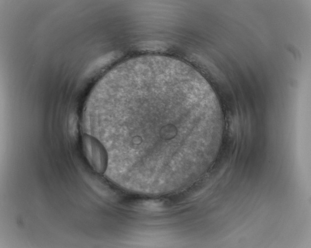 X0000113640692200910162037