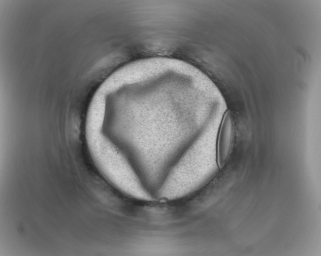 X0000113640693200910162037