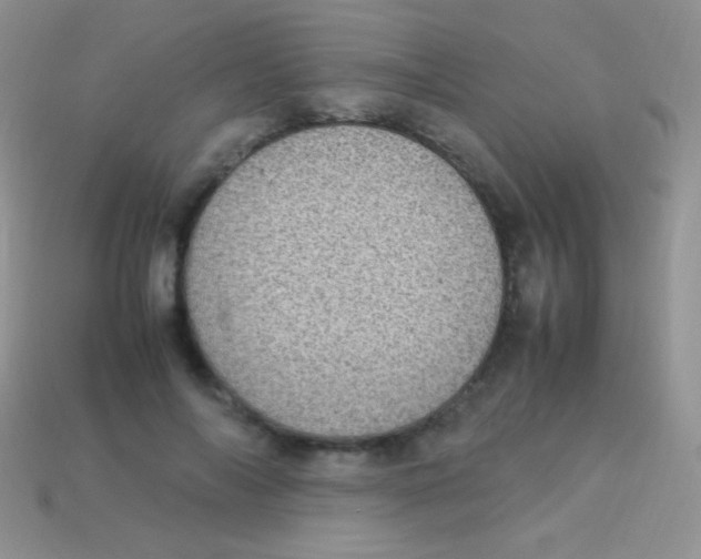 X0000113640694200910162037