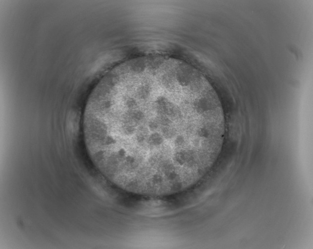 X0000113640695200910162037