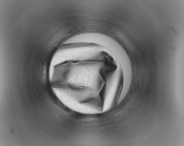 X0000113640696200910162037