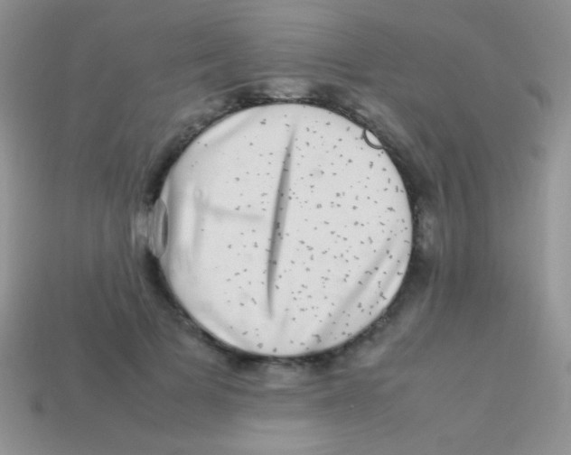 X0000113640697200910162037