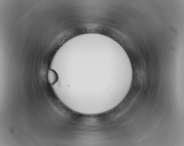 X0000113640698200910162037