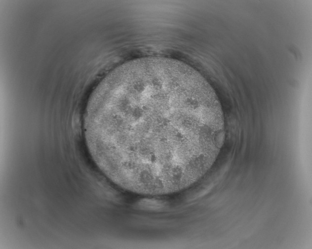 X0000113640699200910162037