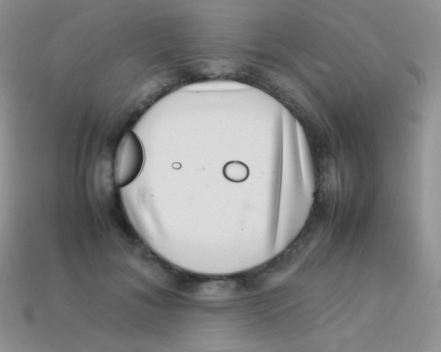 X0000113640700200910162037