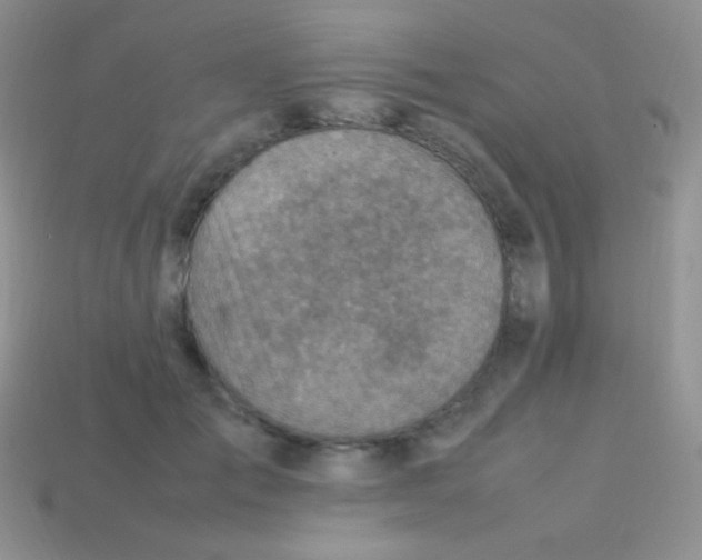 X0000113640701200910162037