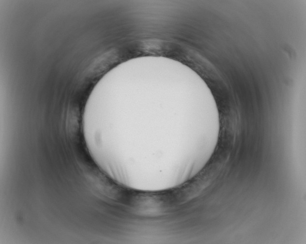 X0000113640702200910162037