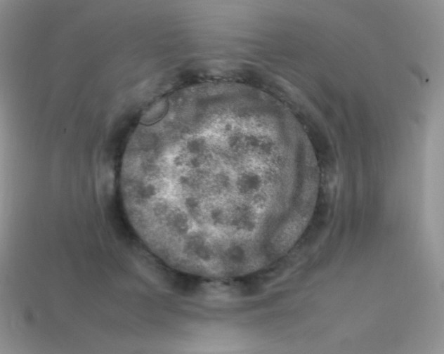 X0000113640703200910162037