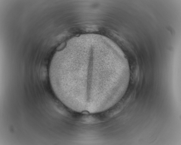 X0000113640704200910162037