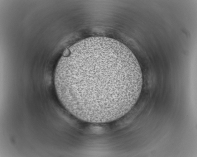 X0000113640706200910162037