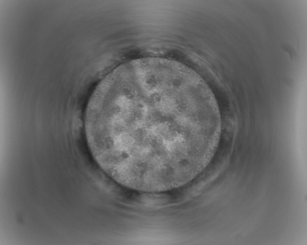 X0000113640707200910162037