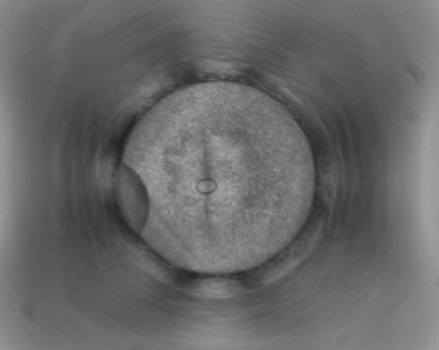 X0000113640708200910162037